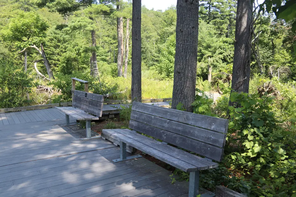 Wooden benches on the boardwalk section of the All Persons trail, overlooking Pikes Pond.