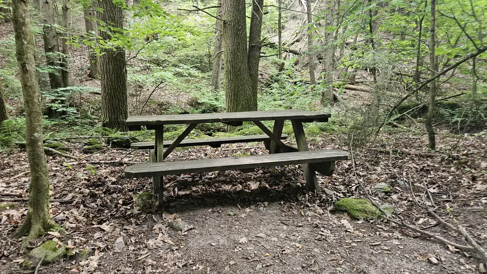 The non-accessible picnic table at the trailhead.