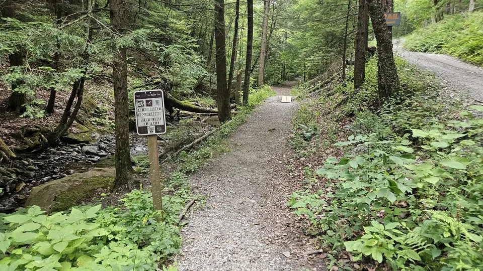 The dirt trail, 4-feet-wide.