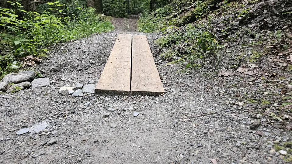A wooden plank crossing over some mud.