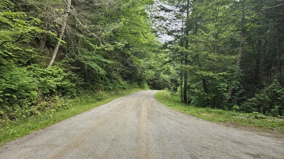 The dirt road that leads to the parking lot and trailhead.