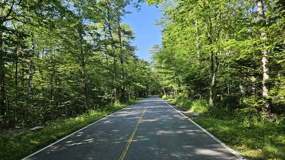 The road by the parking lot.