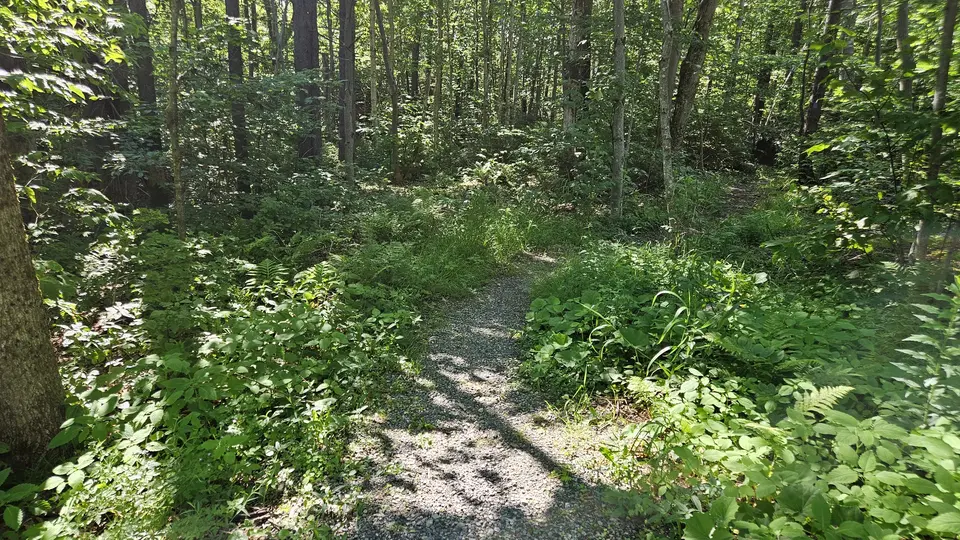 The trail to the campground.