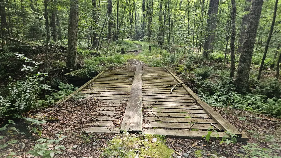 A bridge crossing on the trail, with 1' gaps between the planks.