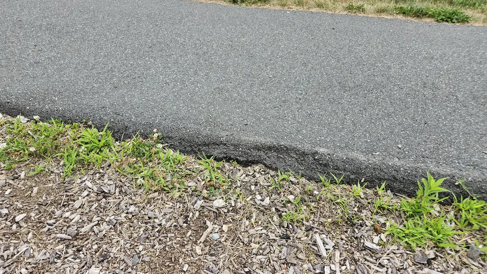 The bump from the paved path to the playground's mulch floor.