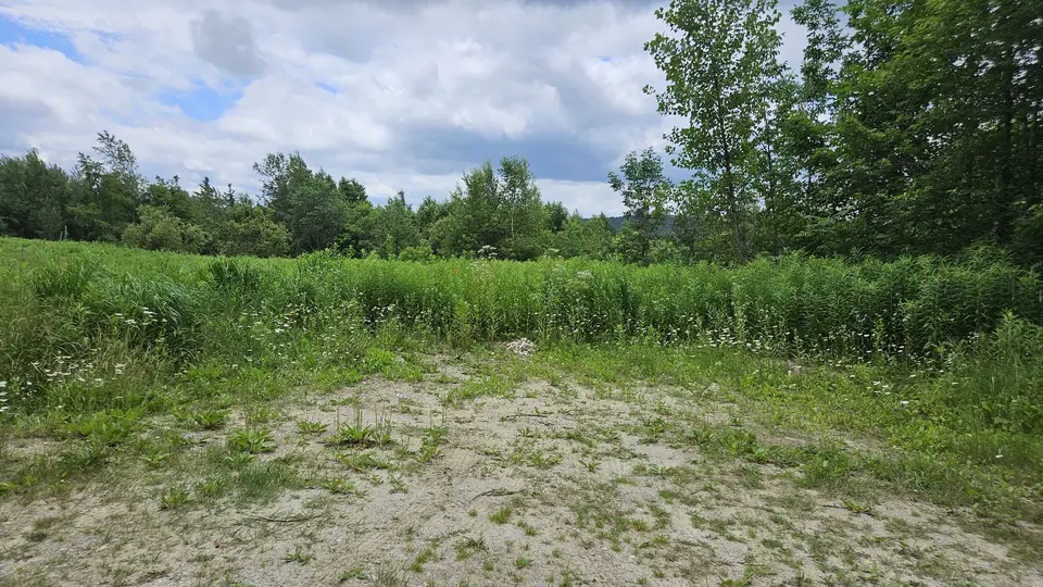 A clearing at the start of the trail. Tall grass behind this clearing, which covers the trail.