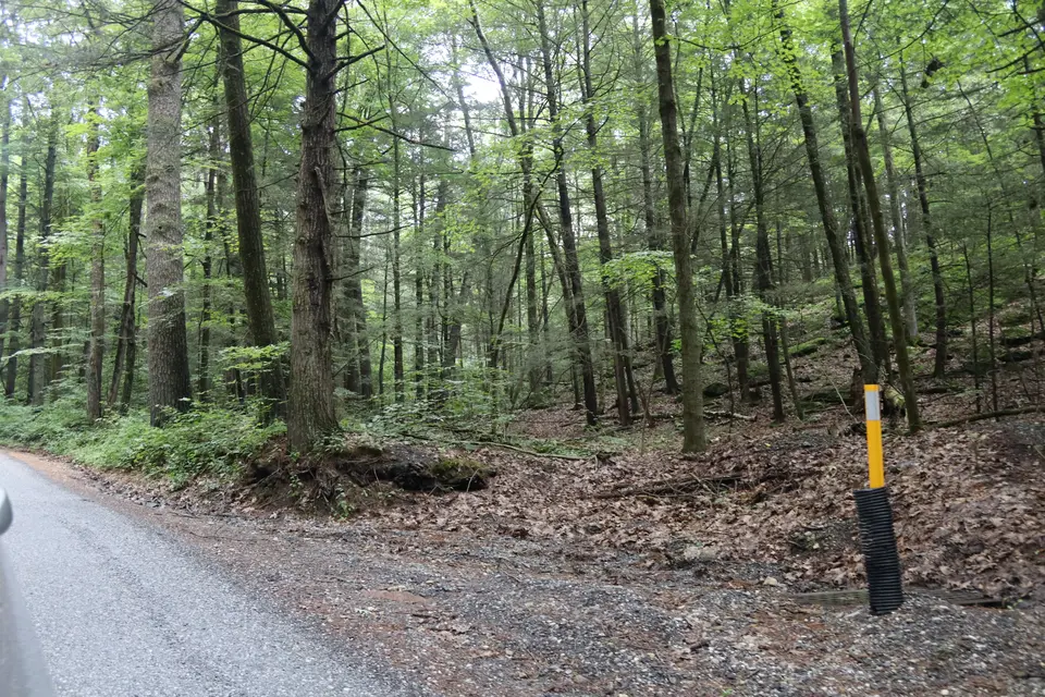 Entrance to the Seitz Reserve (right), off Pixley Hollow Road.