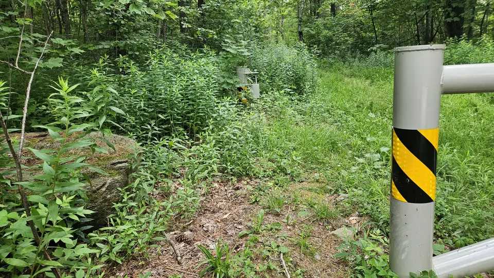 The 3-foot wide gap by the fence, to enter the trail.