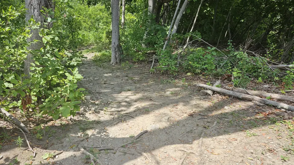 Hilly and dirt path that starts the trail.