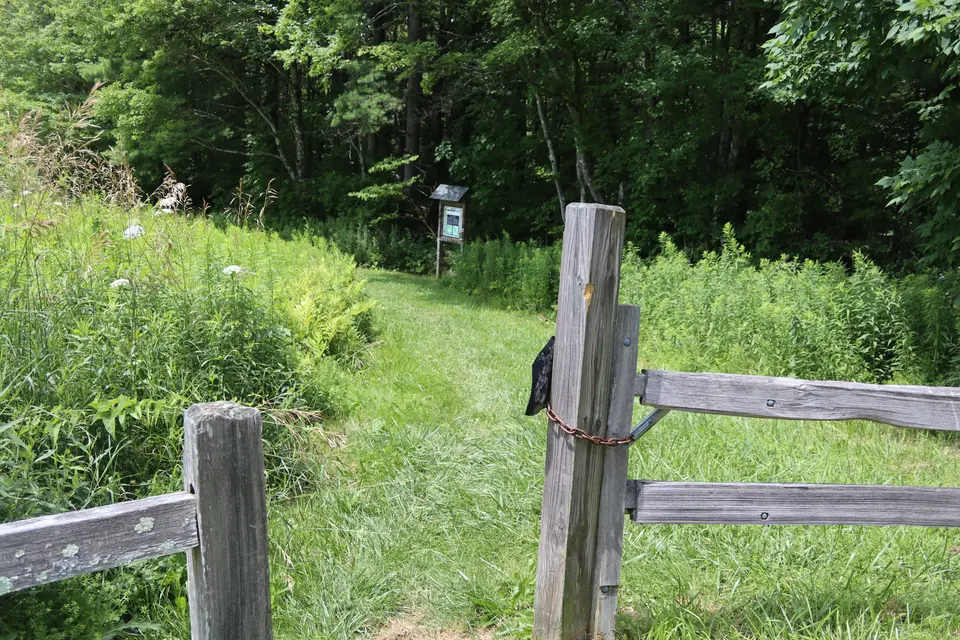 Access to the Steadman Pond trail.