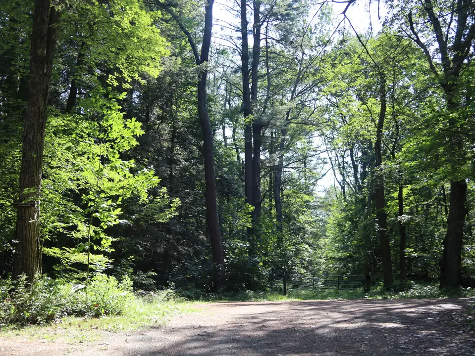 Parking area for the Steepletop Preserve.