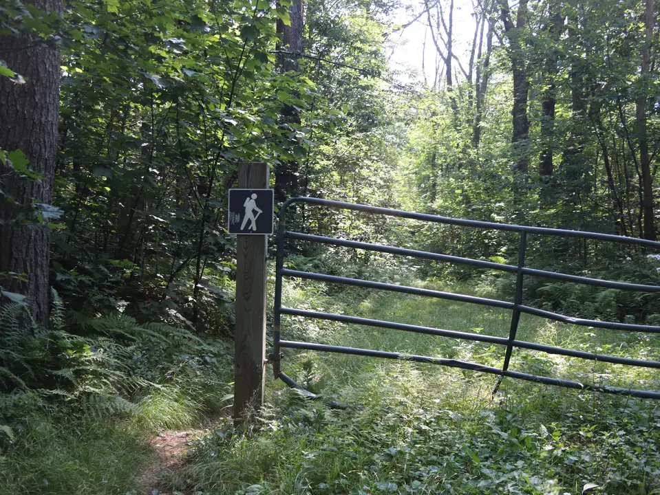 Entrance to a double-track trail, which provides access to the Edie's Way loop and Louise Lane loop.