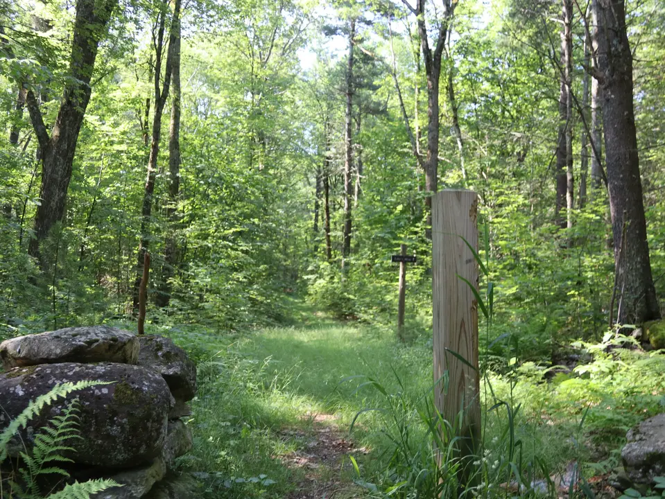 Entrance facing south that leads into the Edie's Way trail loop.