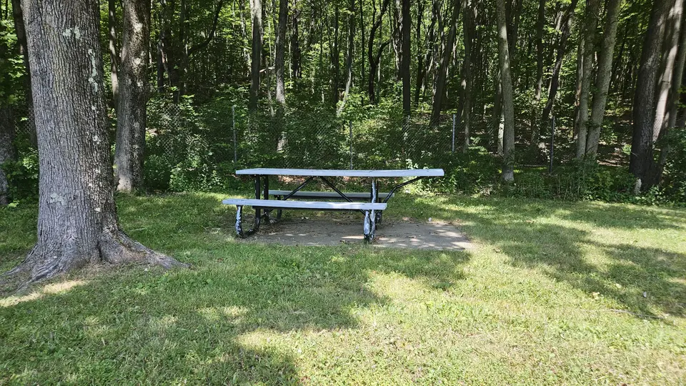 An accessible picnic table at the trailhead.