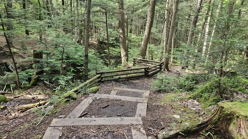 Large wooden steps going down to the waterfall. With 8 inch steps.