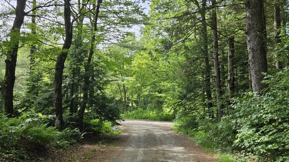 A dirt road that leads to the parking area for this trail.