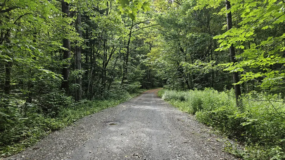 The dirt road leading to the parking lot.