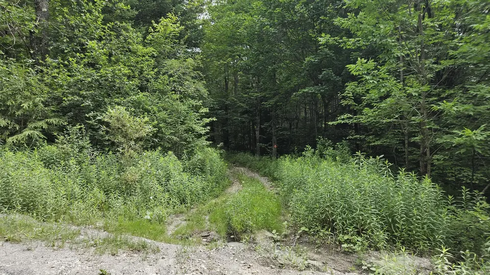 The trailhead; a dirt path off the side of the road. Uneven dirt and grass covering the trail.