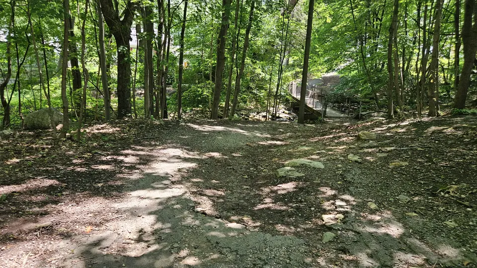 The winding trail, broken up by large stones and roots.