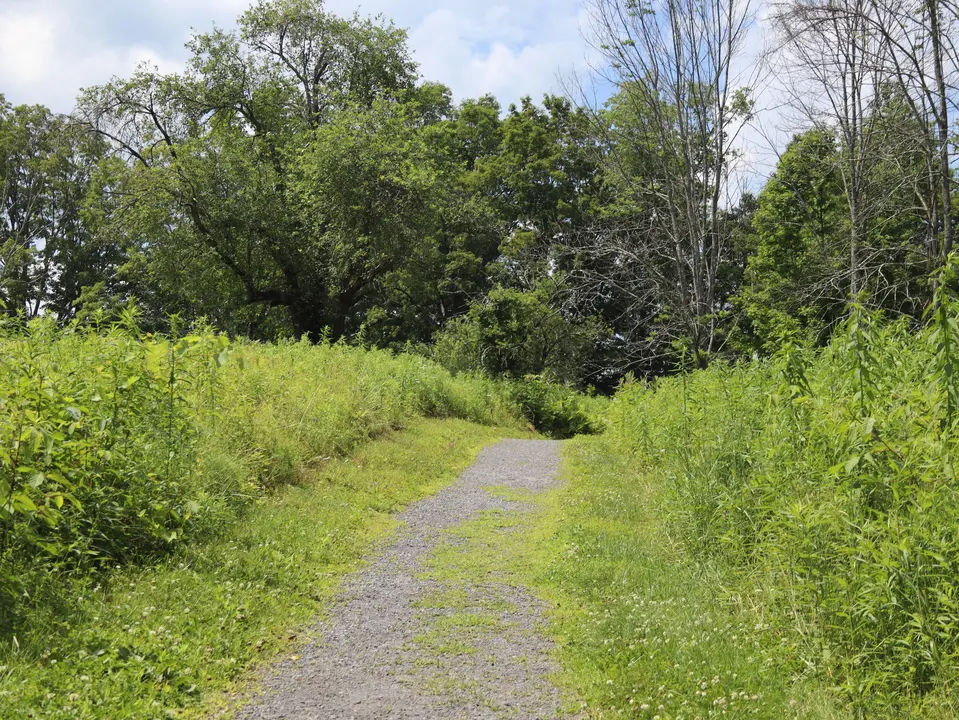 A sloped section on the crushed gravel Meadow Trail.