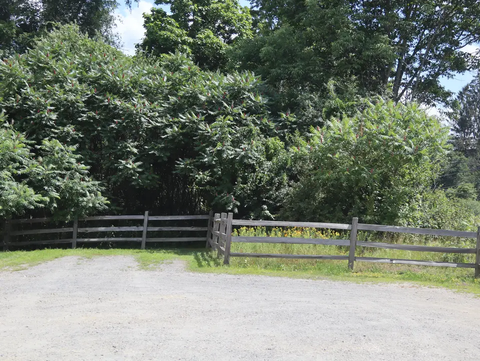 Flat, dirt parking area for Thomas & Palmer Brook.