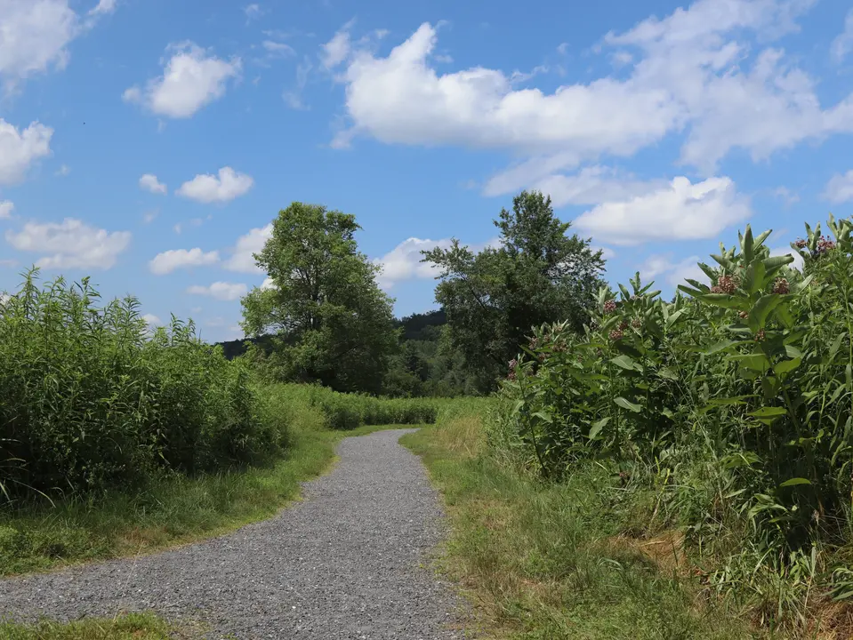 Meadow Loop Trail.