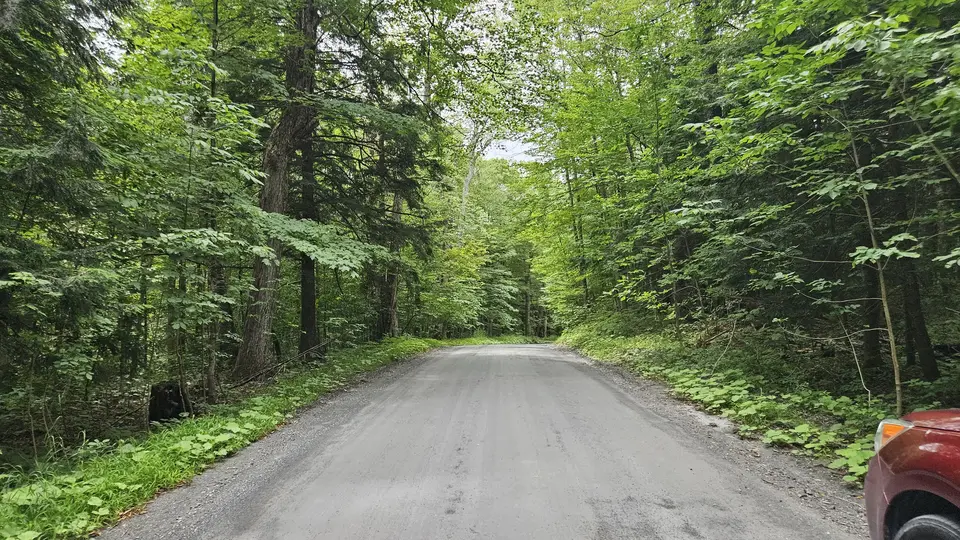The packed gravel road that leads to the trailhead.