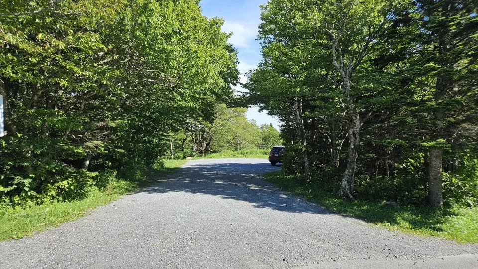 The parking lot, seen from the entrance.