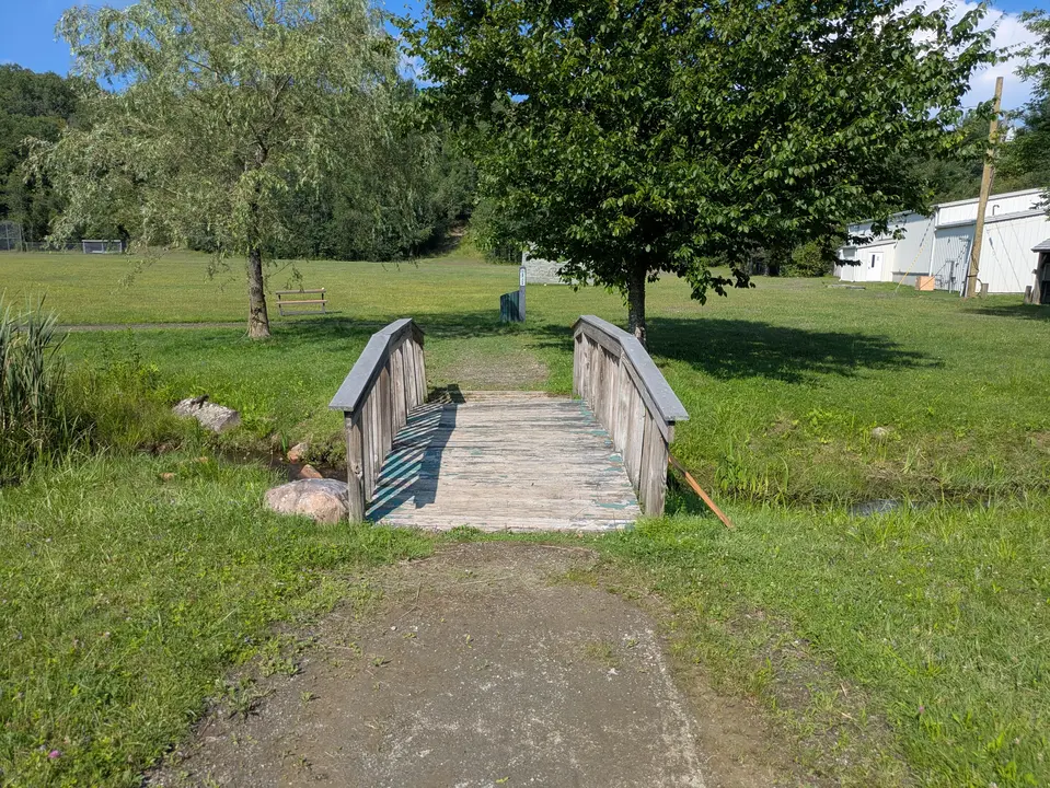 Wooden bridge crossing