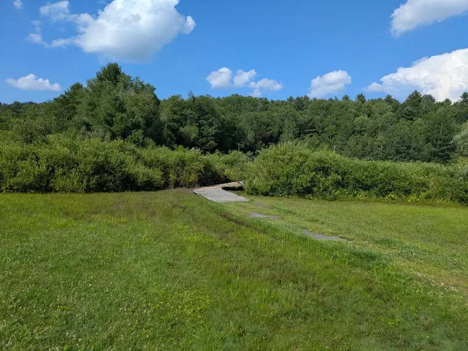 Wooden boardwalk leading to playing fields