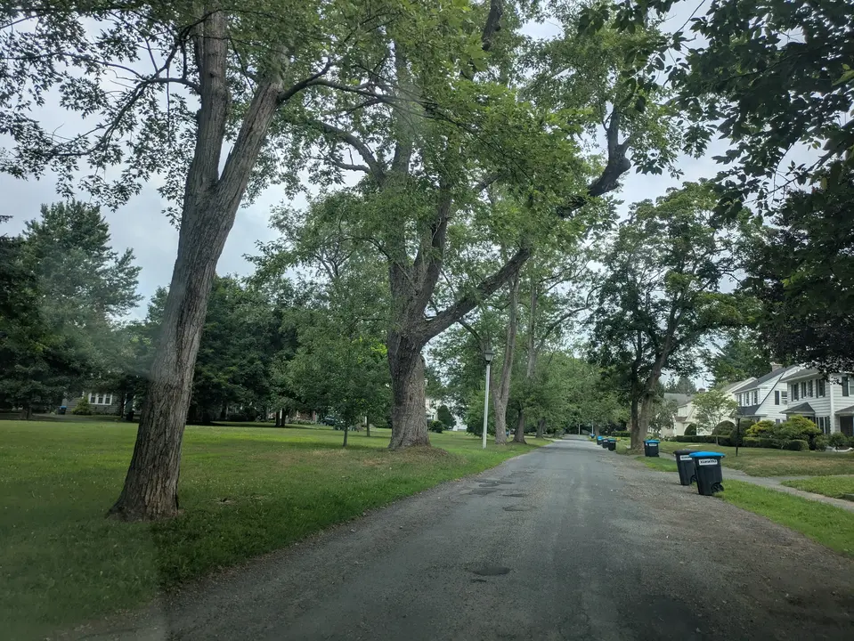 View of Wellesley Park from the street