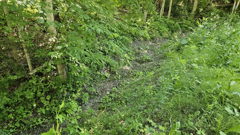 The narrow steep path leading down to the Green River.