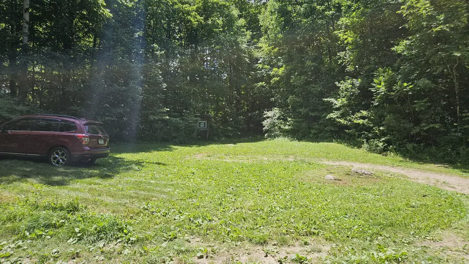 The grassy parking area.