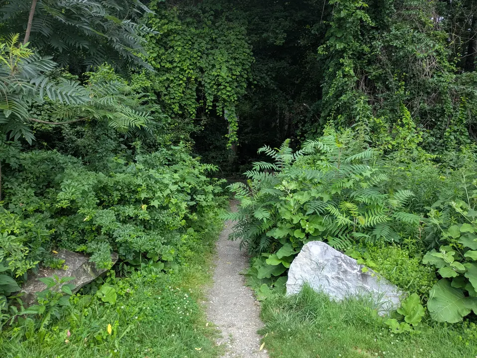 Entrance to the trail leading to the pond