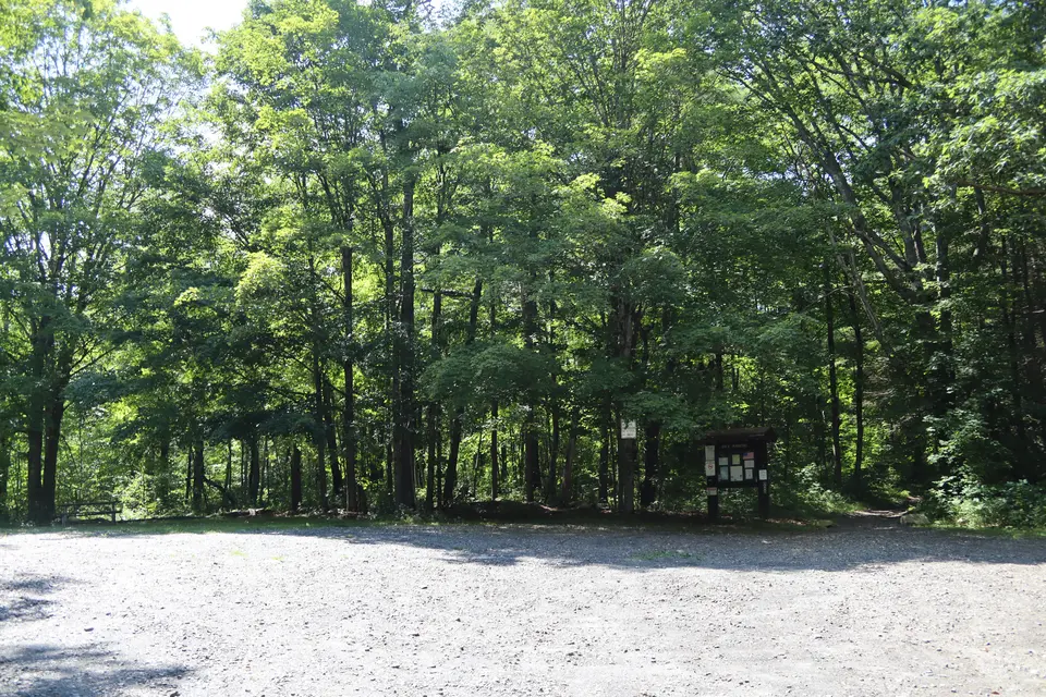 Parking area for the Wildcat Trailhead.