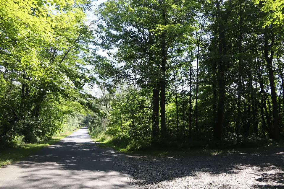 Entrance to the parking area for the Wildcat Trailhead (right) off Beartown Mountain Road.