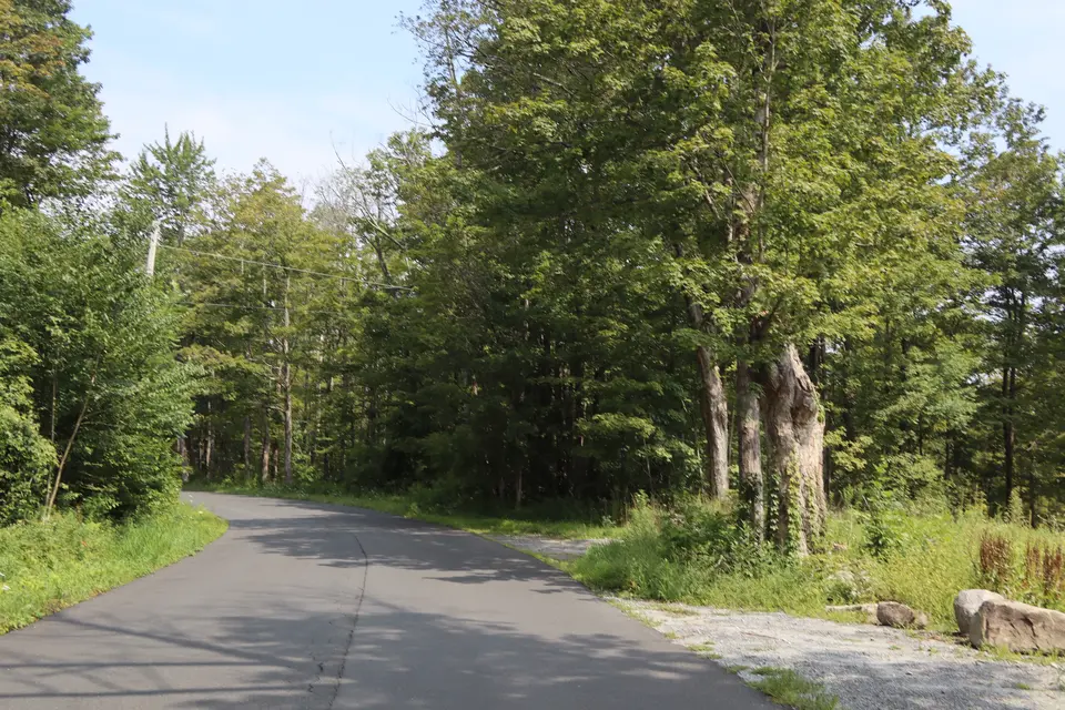 Entrance to Allen Mountain WCE (right) off Town Hill Road, facing North.