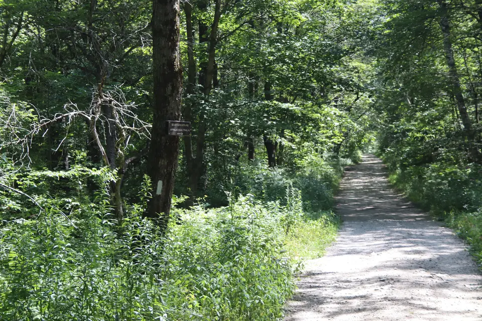 Beartown Mountain Road facing eastward, which includes a small segment of the Appalachian Trail.