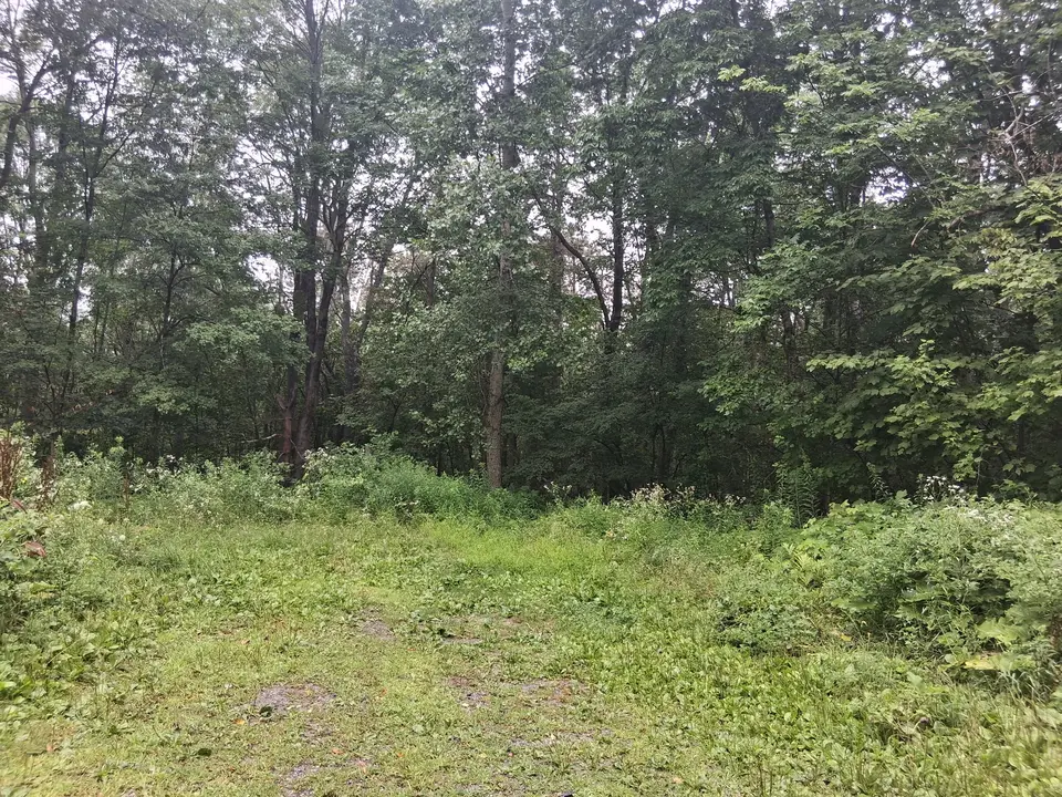 A small, grassy parking area off Webster Road, which provides access to the Appalachian Trail.