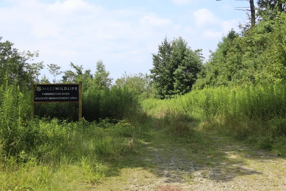 A small parking area on the side of Becket Road, as well as an unofficial trail leading into the wilderness.