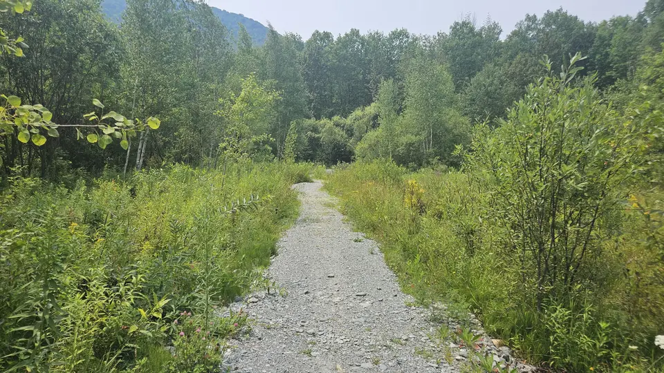 The flat gravel path that connects the parking lot to the mountain biking trails.