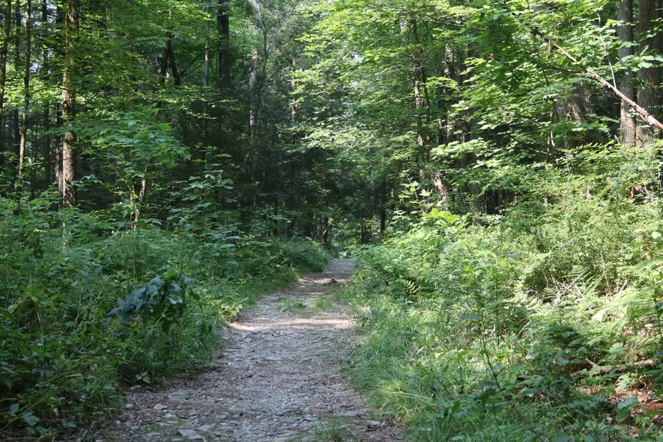 A flat section of Old Baldhead Road, which heads northeast from the parking area.