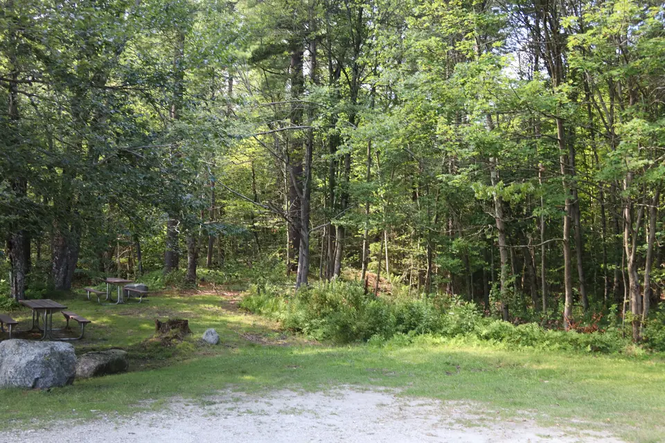 An additional parking area at the end of Buckley Denton Road, with a picnic area shown in the background.