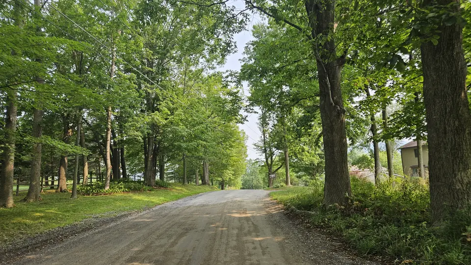 The dirt road that leads to the trailhead.