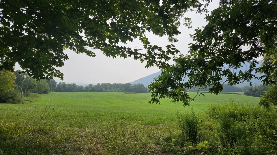 The trailhead, at the site of a meadow.