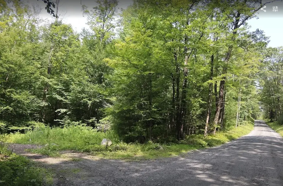 A small parking lot for Farmington River WMA (left), off Churchill Road facing North.