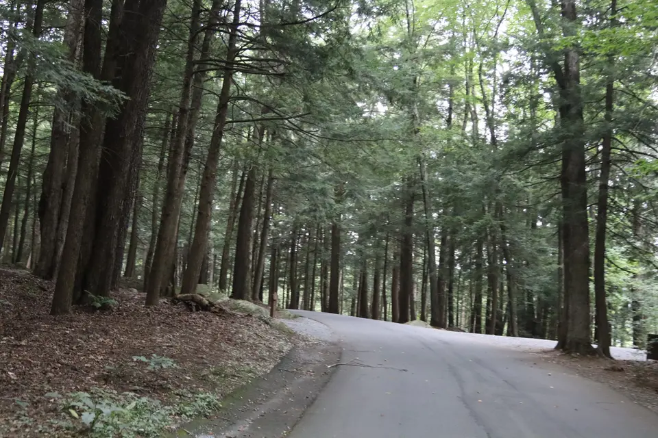 A road connecting different areas of the campsite together.