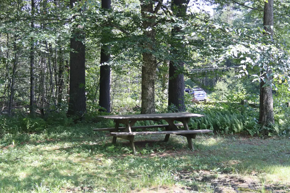 Wooden picnic table in the Esau's Heel trailhead.