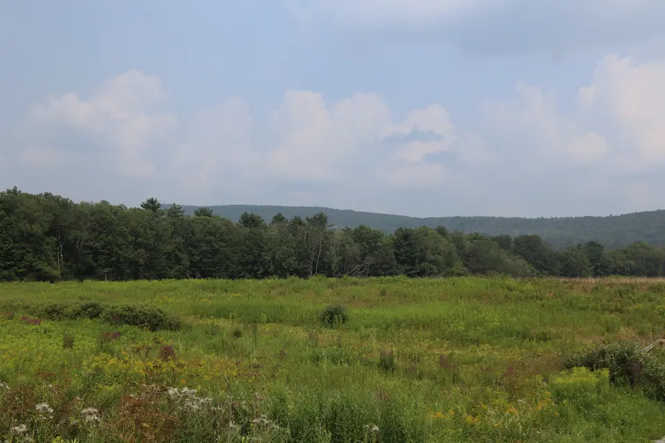 Views of Grasslands that make up the Fairfield Brook WMA, with Yokun Ridge South in the background.