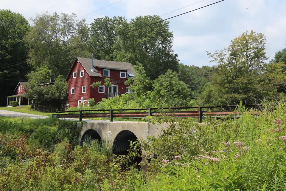 Wildflowers bloom near a bridge crossing the Farmington River.